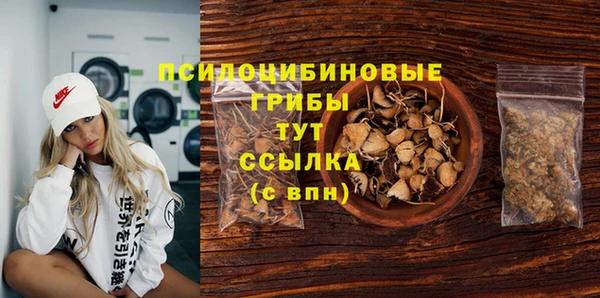 амф Михайловка