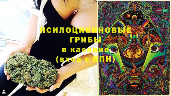 метадон Каменск-Шахтинский