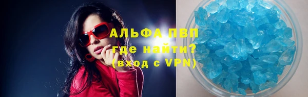 стафф Надым