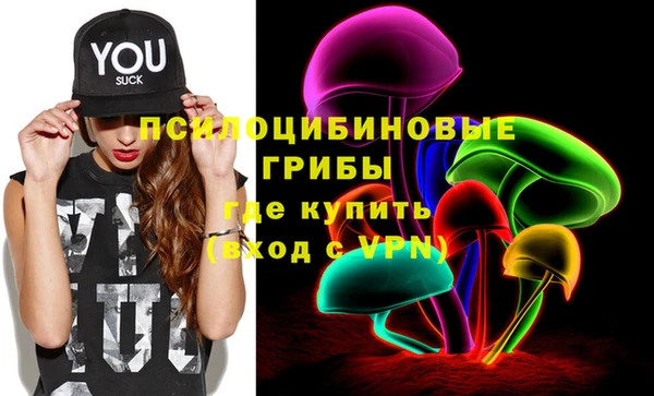 мяу мяу мука Михайлов