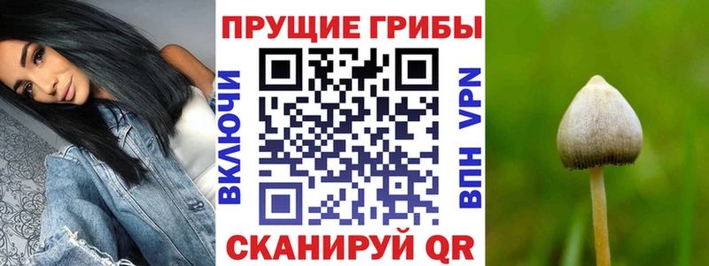 наркошоп  Серпухов  Псилоцибиновые грибы ЛСД 