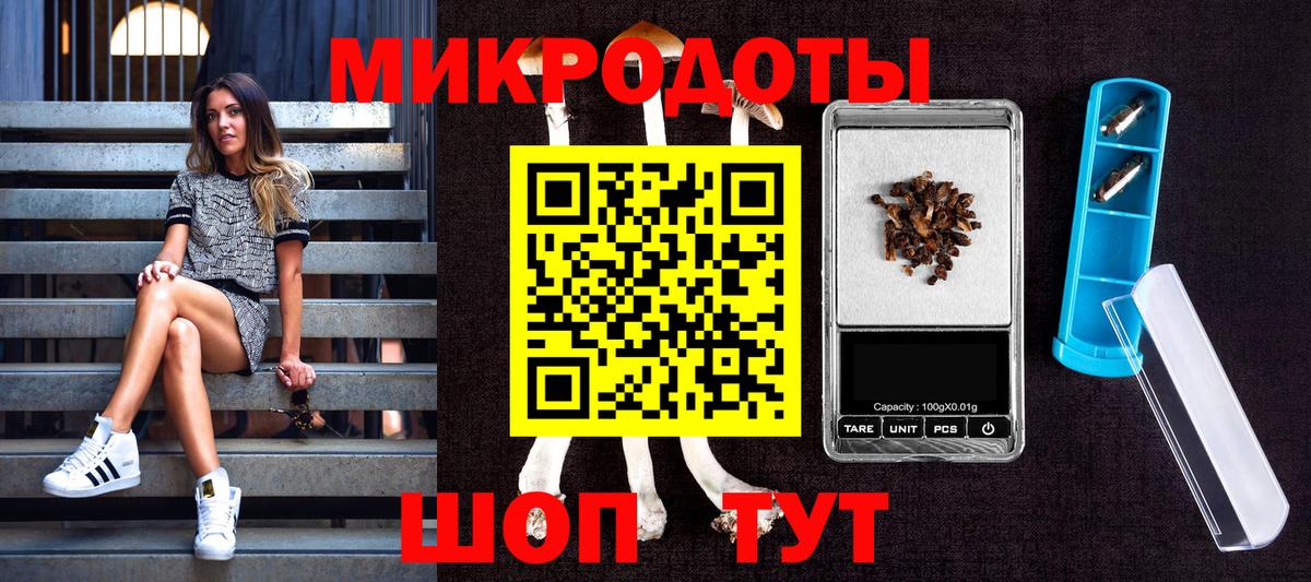 Серпухов  Галлюциногенные грибы мухоморы  как найти закладки  Галлюциногенные грибы Psilocybine cubensis  Вход с VPN 