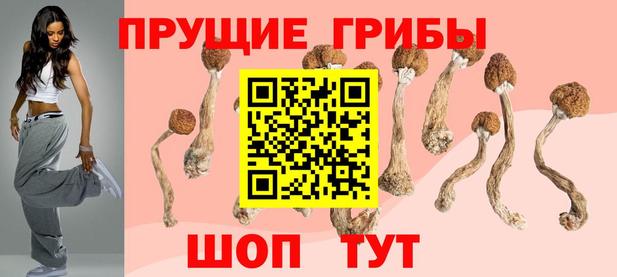 Галлюциногенные грибы Psilocybine cubensis Серпухов